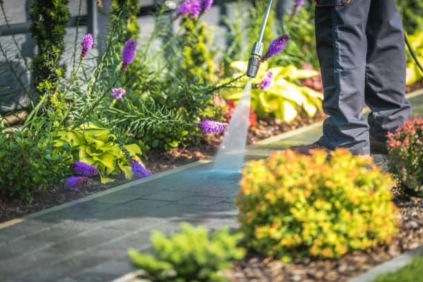 Best Animal Enclosure Cleaning  in Greenville, VA