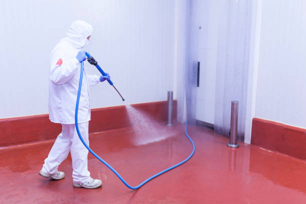 Boat and Dock Cleaning in Greenville, VA